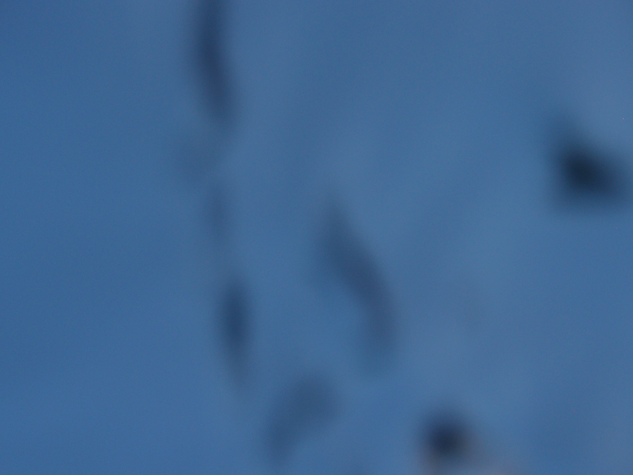 2019-12-24 - 31 Schnorcheln (Video)